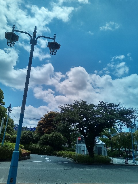 f:id:shiho2020:20220522130842j:image