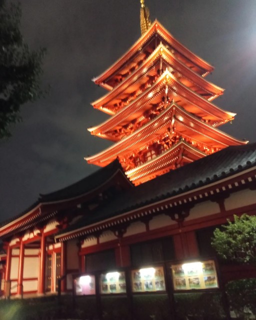 f:id:shiho2020:20221024041609j:image