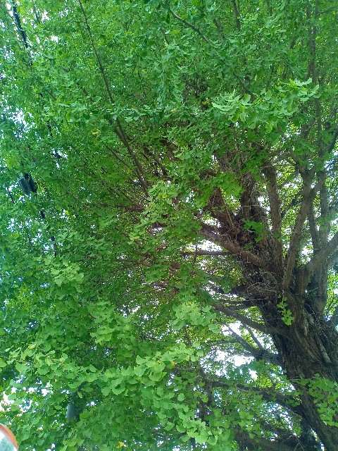 f:id:shiho2020:20231125094140j:image