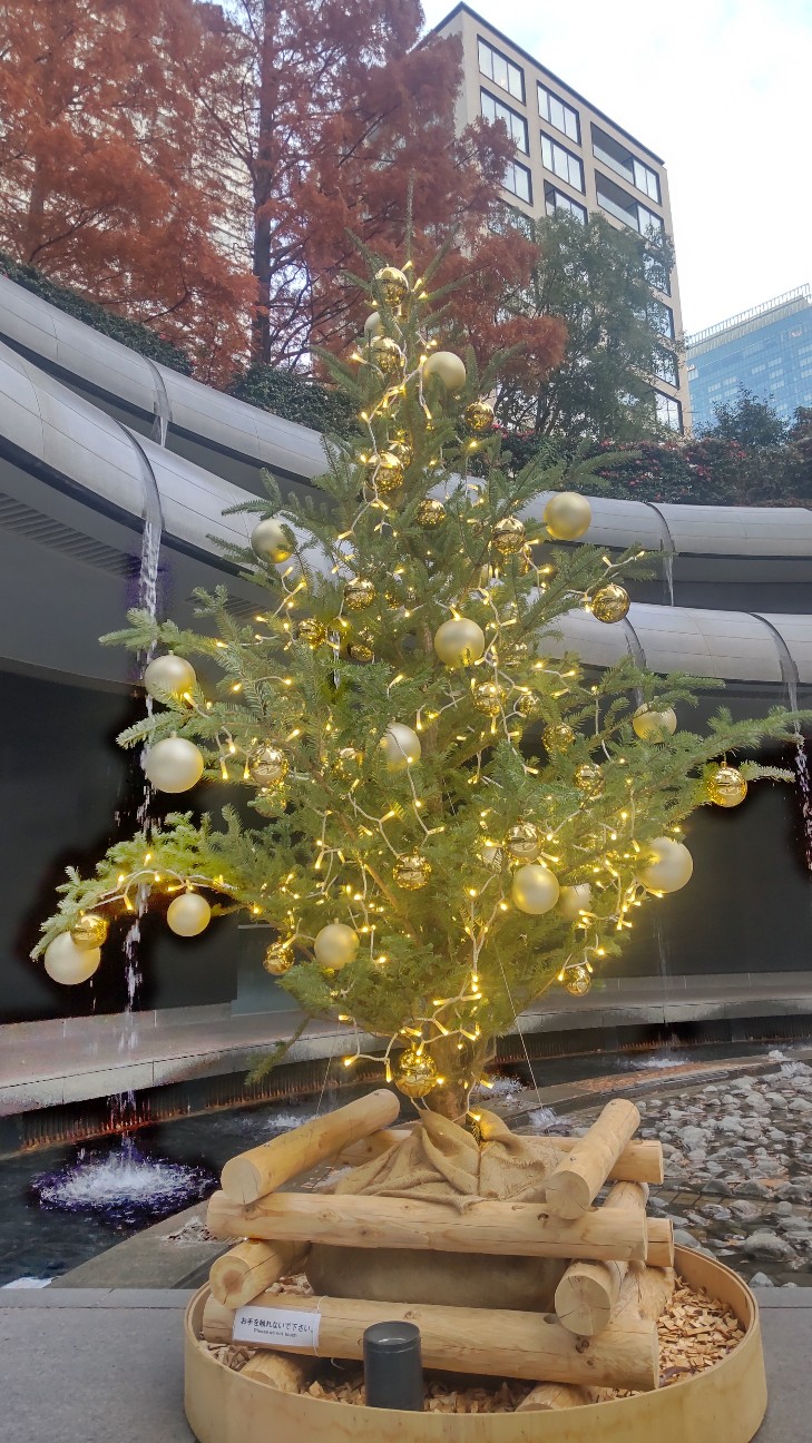 f:id:shiho2020:20231221105832j:image