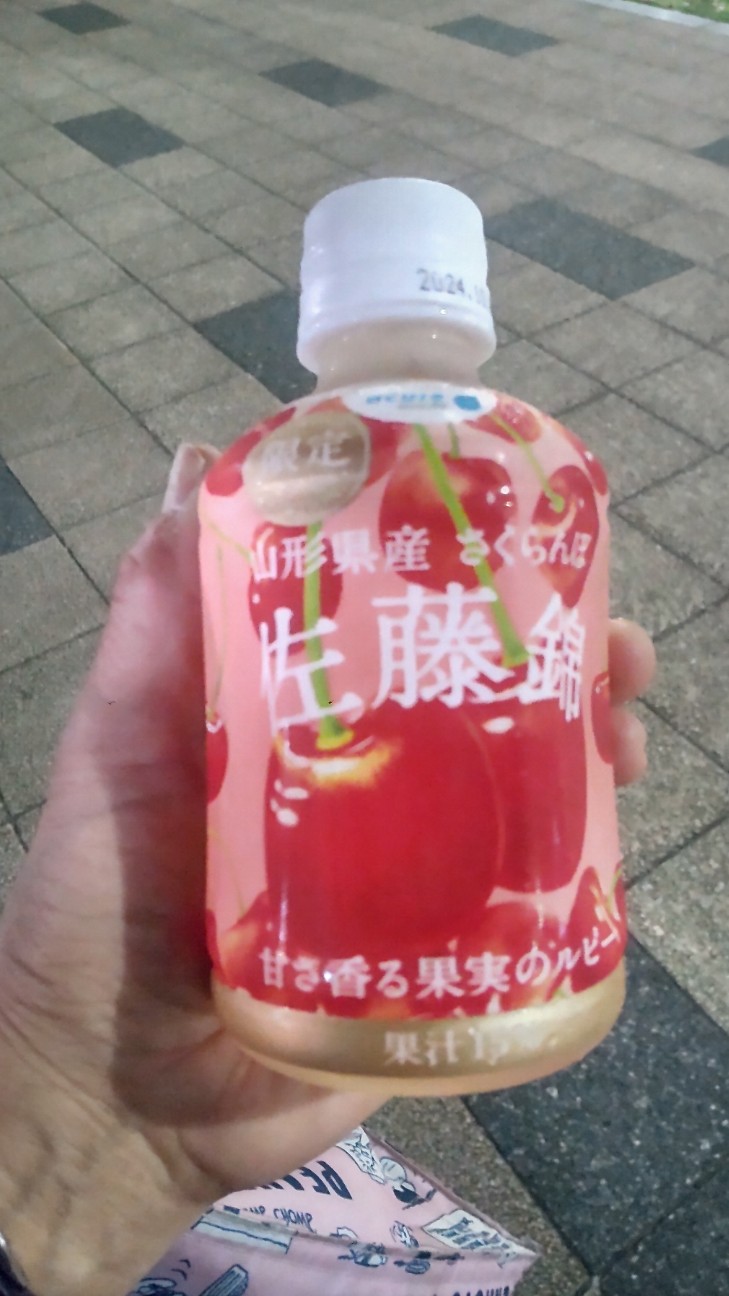 f:id:shiho2020:20240416003740j:image