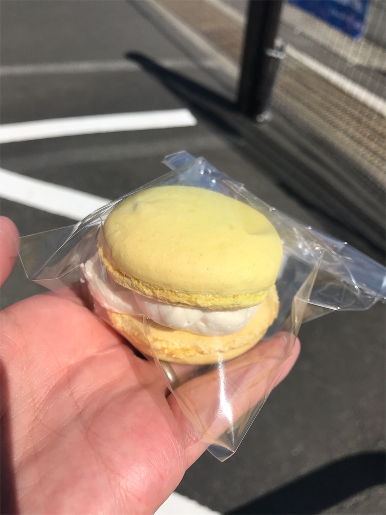f:id:shiho_chiffon:20190513172643j:image