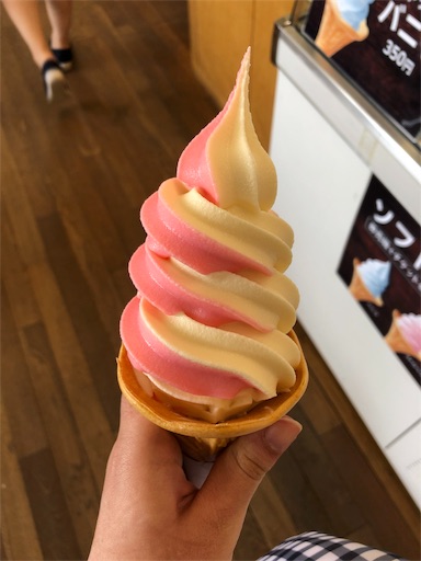 f:id:shihoko123:20190818094201j:image f:id:shihoko123:20190818094201j:image