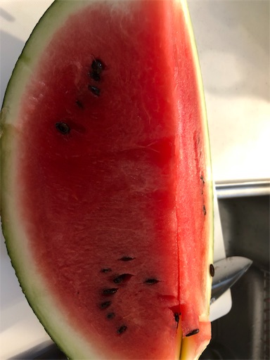 f:id:shihoko123:20190821102311j:image f:id:shihoko123:20190821102311j:image