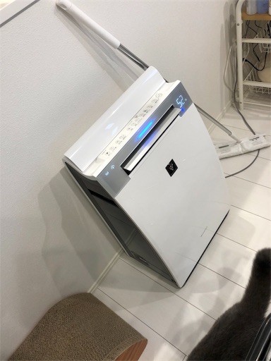 f:id:shihoko123:20191016100425j:image f:id:shihoko123:20191016100425j:image