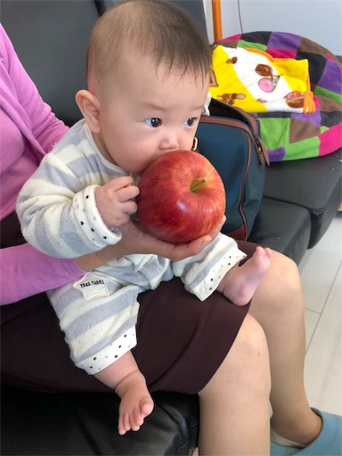 f:id:shihoko123:20191115200446j:image f:id:shihoko123:20191115200446j:image