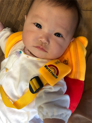 f:id:shihoko123:20191120221008j:image f:id:shihoko123:20191120221008j:image