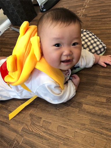 f:id:shihoko123:20191120221140j:image f:id:shihoko123:20191120221140j:image
