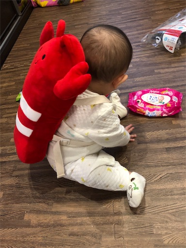 f:id:shihoko123:20191130213413j:image f:id:shihoko123:20191130213413j:image
