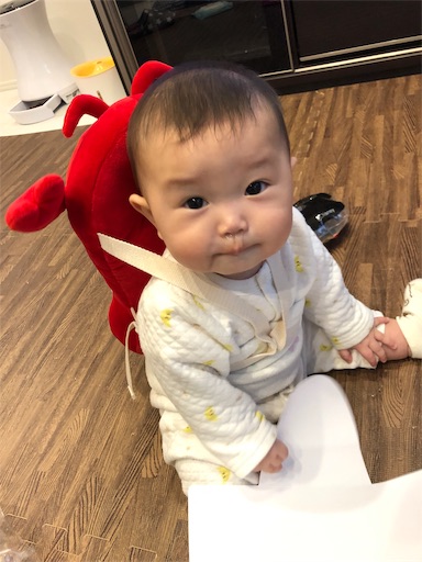 f:id:shihoko123:20191130213416j:image f:id:shihoko123:20191130213416j:image