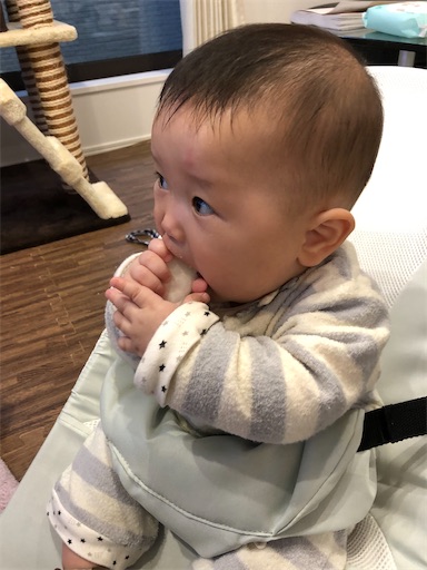 f:id:shihoko123:20191203213441j:image f:id:shihoko123:20191203213441j:image