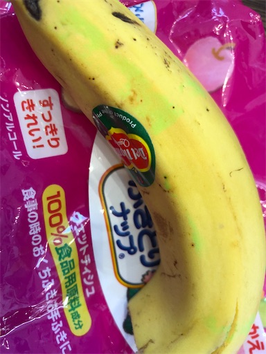 f:id:shihoko123:20191204084858j:image f:id:shihoko123:20191204084858j:image
