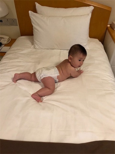 f:id:shihoko123:20191206213922j:image f:id:shihoko123:20191206213922j:image