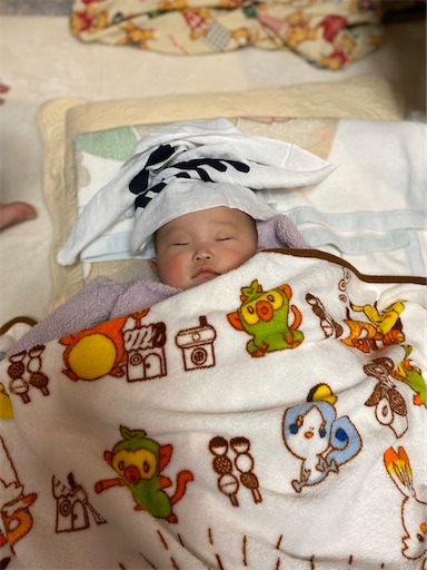 f:id:shihoko123:20200101092734j:image f:id:shihoko123:20200101092734j:image