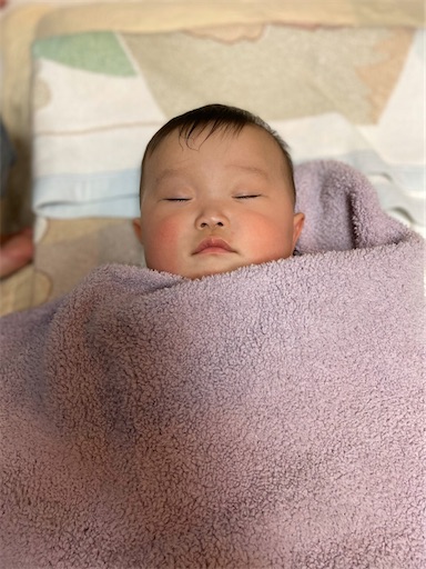 f:id:shihoko123:20200101092737j:image f:id:shihoko123:20200101092737j:image