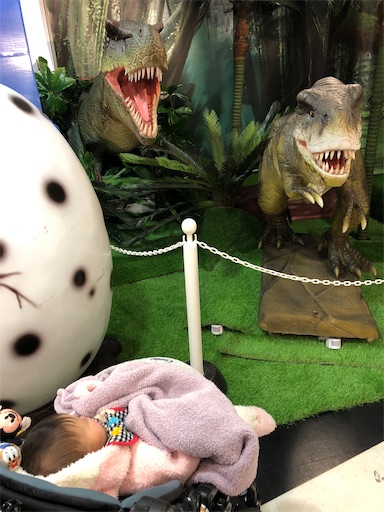 f:id:shihoko123:20200128200941j:image f:id:shihoko123:20200128200941j:image