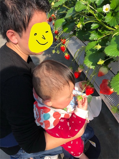 f:id:shihoko123:20200209153004j:image f:id:shihoko123:20200209153004j:image