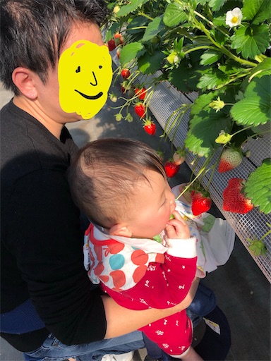 f:id:shihoko123:20200209153010j:image f:id:shihoko123:20200209153010j:image