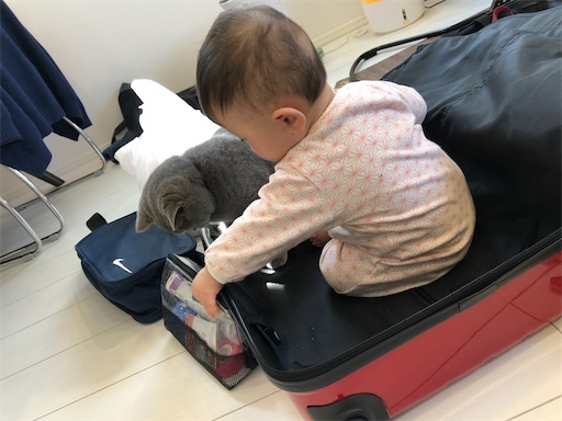 f:id:shihoko123:20200221212140j:image f:id:shihoko123:20200221212140j:image
