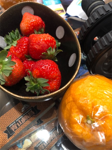 f:id:shihoko123:20200301233122j:image f:id:shihoko123:20200301233122j:image