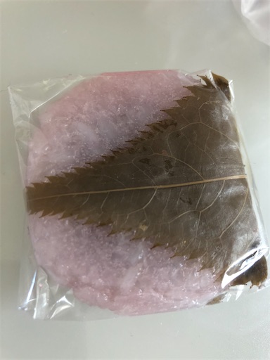 f:id:shihoko123:20200304002629j:image f:id:shihoko123:20200304002629j:image