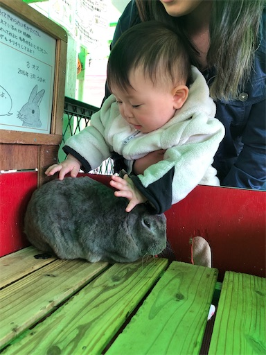 f:id:shihoko123:20200323223619j:image f:id:shihoko123:20200323223619j:image