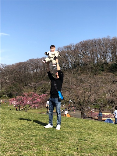 f:id:shihoko123:20200323224841j:image f:id:shihoko123:20200323224841j:image