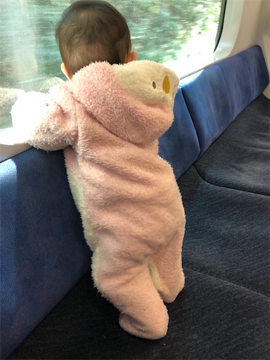 f:id:shihoko123:20200402234456j:image f:id:shihoko123:20200402234456j:image