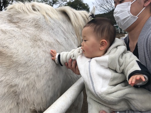 f:id:shihoko123:20200412213826j:image f:id:shihoko123:20200412213826j:image