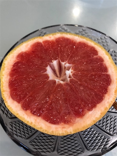f:id:shihoko123:20200524215141j:image f:id:shihoko123:20200524215141j:image
