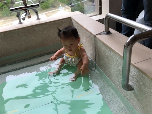 f:id:shihoko123:20200621213212j:image f:id:shihoko123:20200621213212j:image