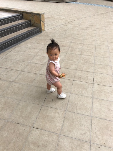 f:id:shihoko123:20200714205440j:image f:id:shihoko123:20200714205440j:image