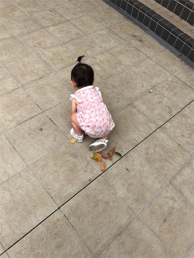 f:id:shihoko123:20200714210256j:image f:id:shihoko123:20200714210256j:image