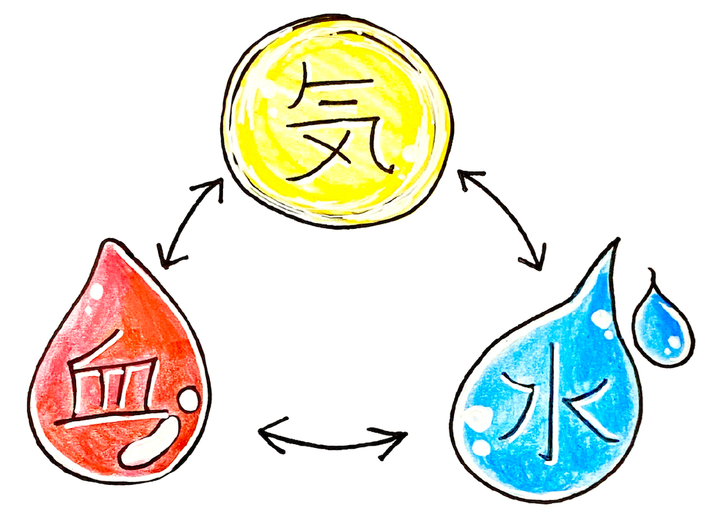 血虚(けっきょ)について - 一緒に学ぼう!!身近な漢方!!