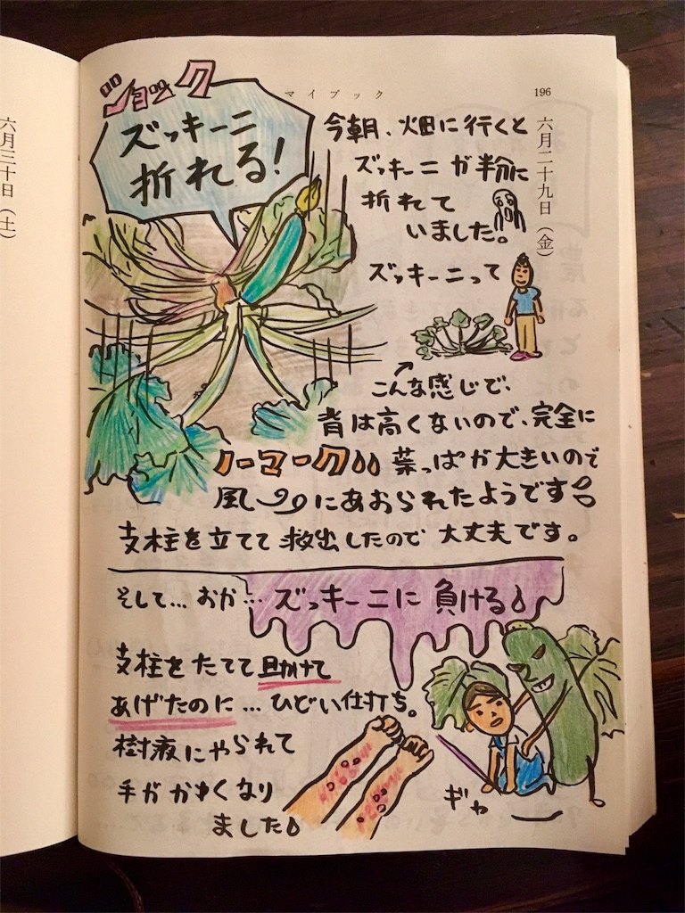 ズッキーニ 折れる 農家をはじめて2ヶ月目の受難 移住 就農3年目突入 よしよし畑 の家族の絵日記
