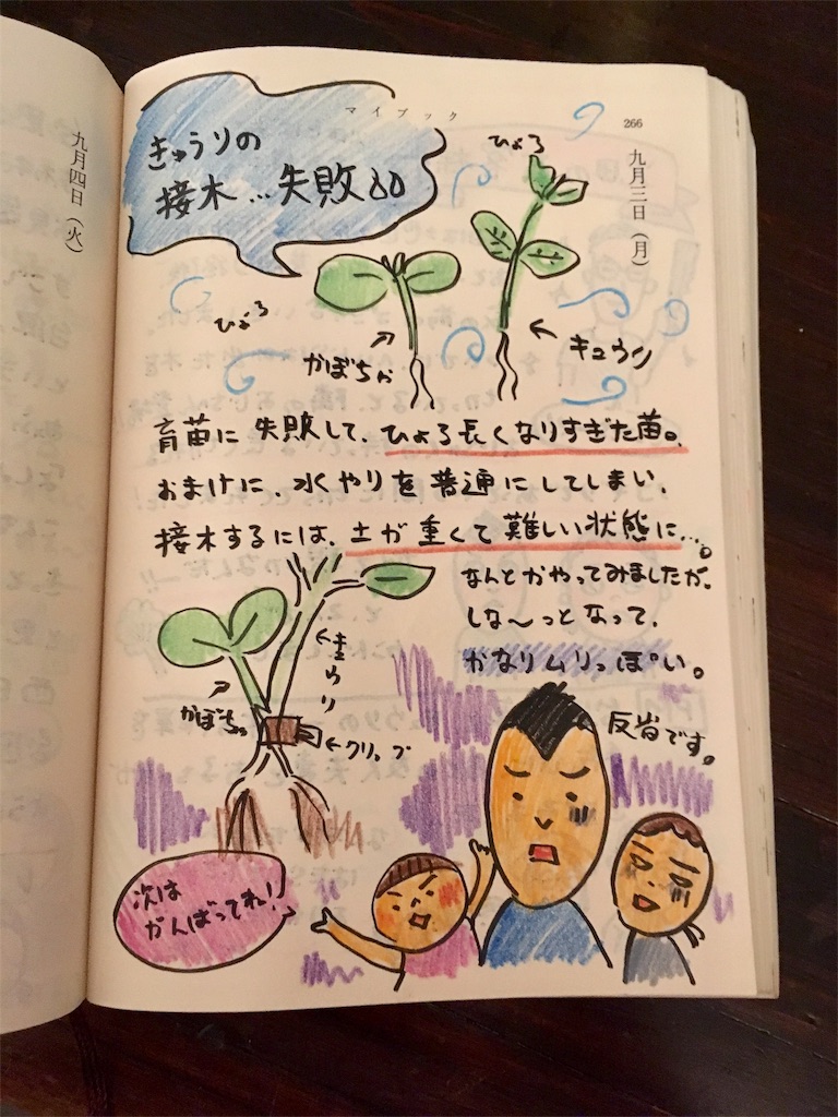キュウリの接木 失敗 移住 就農3年目突入 よしよし畑 の家族の絵日記