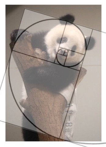 f:id:shiiiiiiii:20190612222517j:plain f:id:shiiiiiiii:20190612222517j:plain