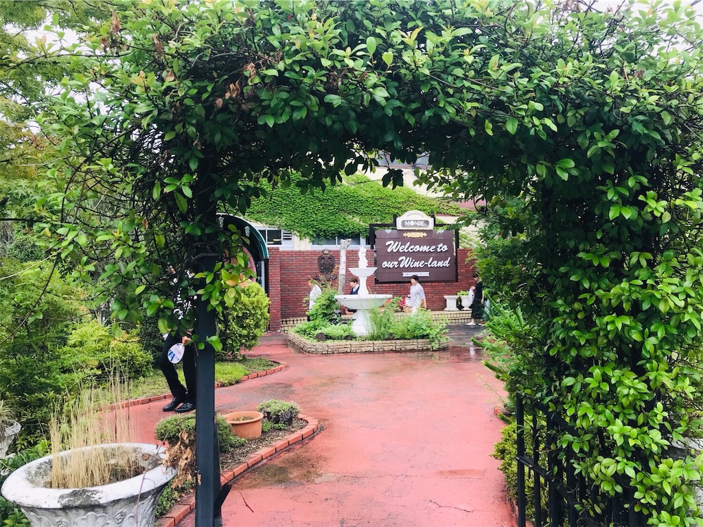 f:id:shiika-0620:20190711192200j:image f:id:shiika-0620:20190711192200j:image