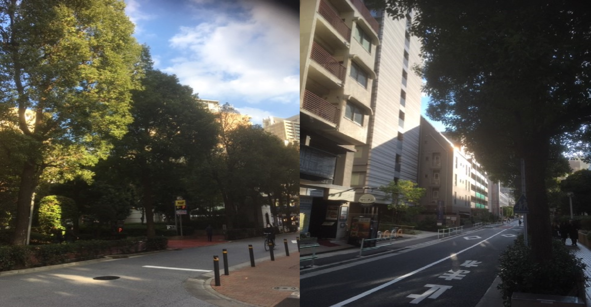 f:id:shiina-saba13:20200209133623p:plain