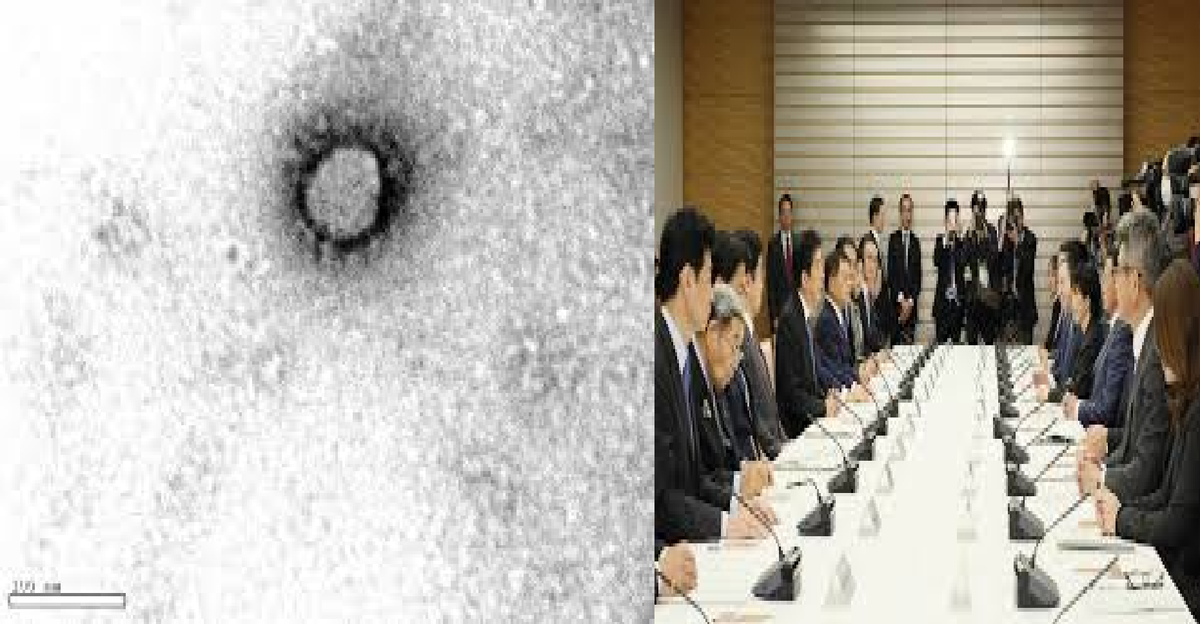 f:id:shiina-saba13:20200219225011p:plain