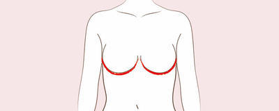 バージスライン