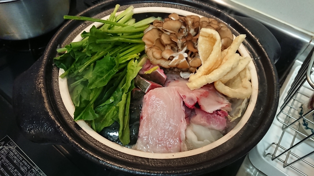 f:id:shiinaneko:20190116000320j:plain