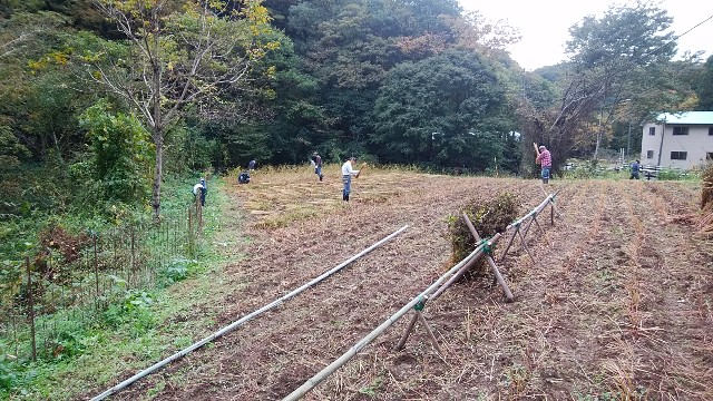 f:id:shiitakekung:20201026092946j:image f:id:shiitakekung:20201026092946j:image