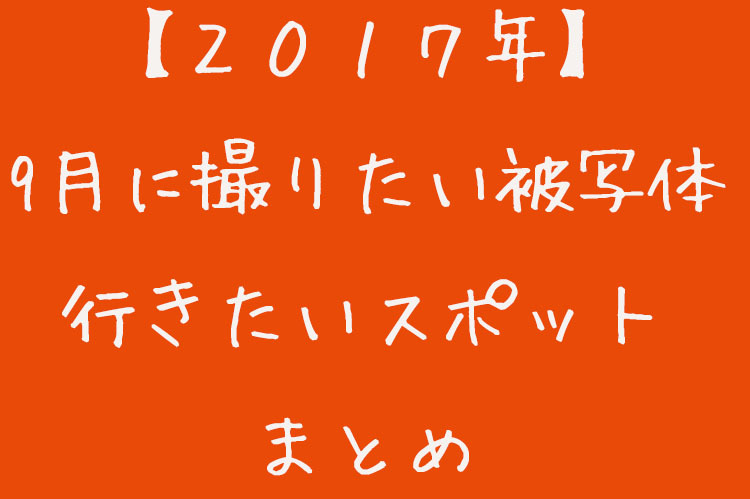 f:id:shiitakeoishi:20170906215313j:plain