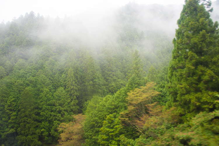 f:id:shiitakeoishi:20170917224204j:plain f:id:shiitakeoishi:20170917224204j:plain