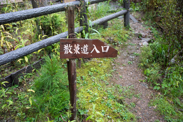 f:id:shiitakeoishi:20170917224645j:plain f:id:shiitakeoishi:20170917224645j:plain