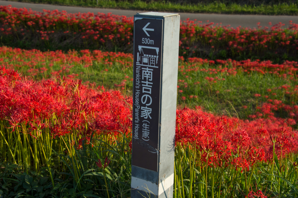 f:id:shiitakeoishi:20170926000807j:plain f:id:shiitakeoishi:20170926000807j:plain