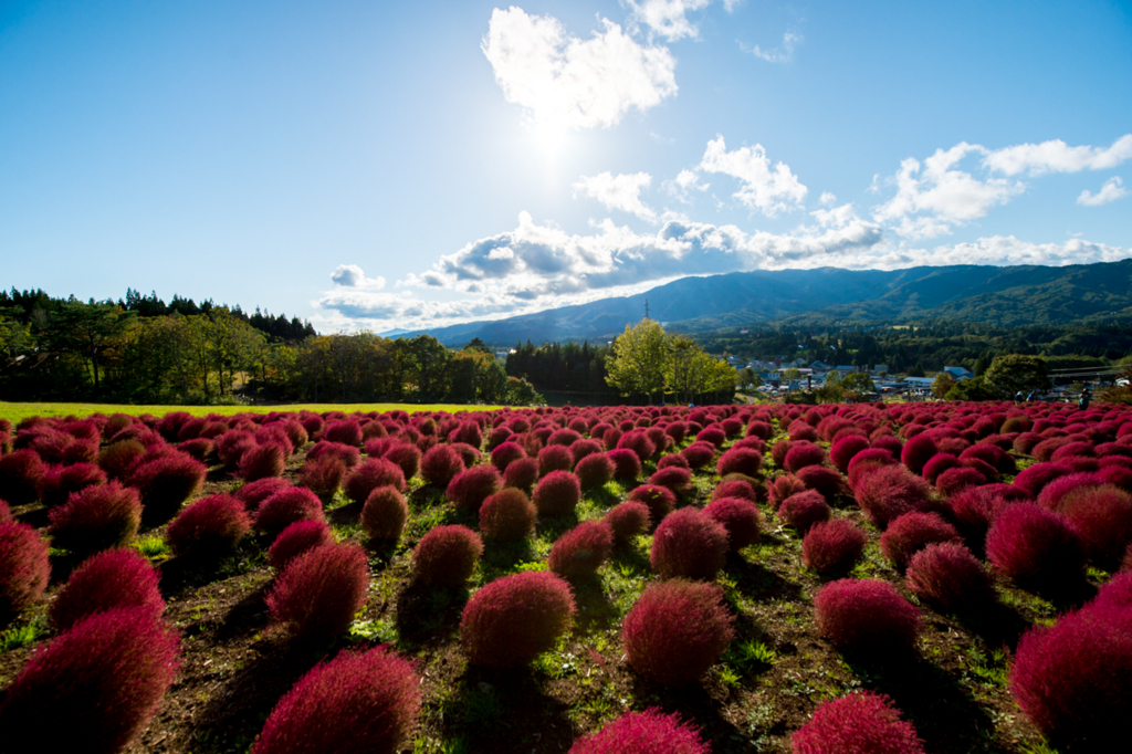 f:id:shiitakeoishi:20171011234656j:plain
