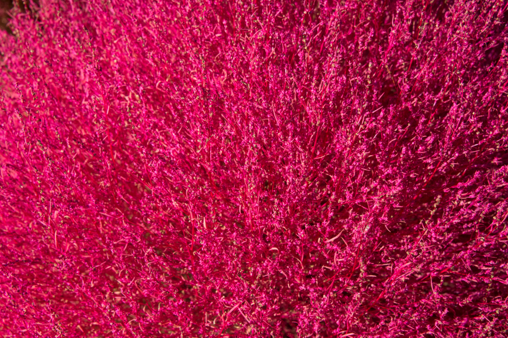 f:id:shiitakeoishi:20171012001309j:plain