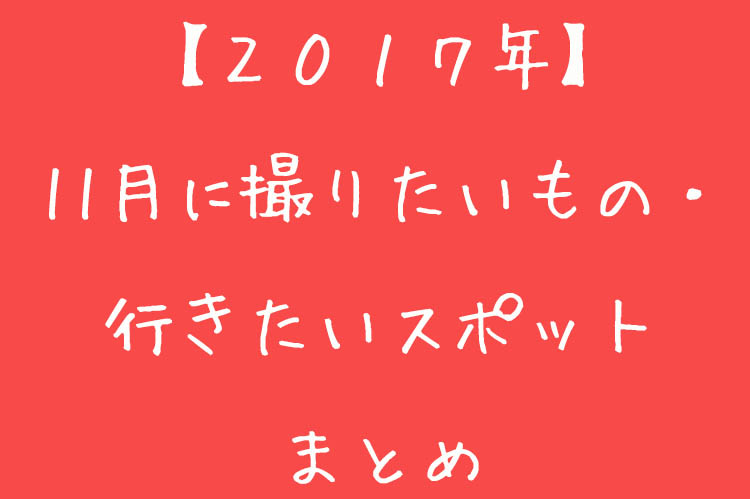 f:id:shiitakeoishi:20171021152416j:plain